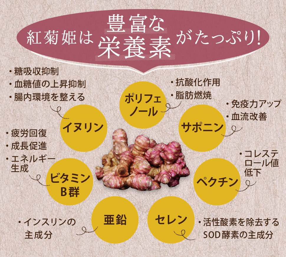 紅菊姫は豊富な栄養素がたっぷり！