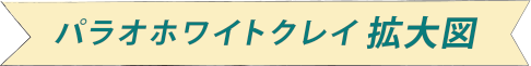 パラオホワイトクレイ拡大図